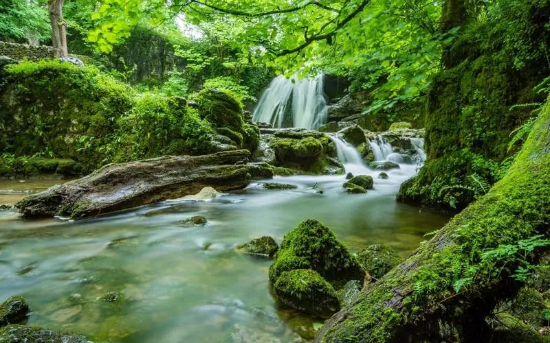 智能系统绿色可靠性